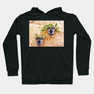 Wall Hanging Planters Hoodie